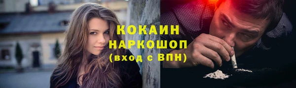 винт Верея