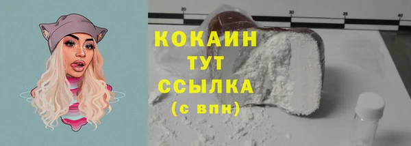 винт Верея