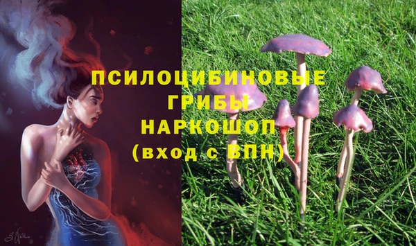 бошки Волосово