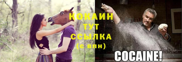 винт Верея